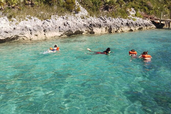 Catamaran Snorkel & Beach Day with Turtles - Snorkeling at Atholl Island