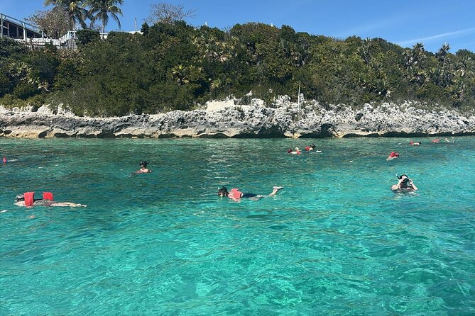 Catamaran Snorkel & Beach Day with Turtles - Green Cay and the turtle sanctuary