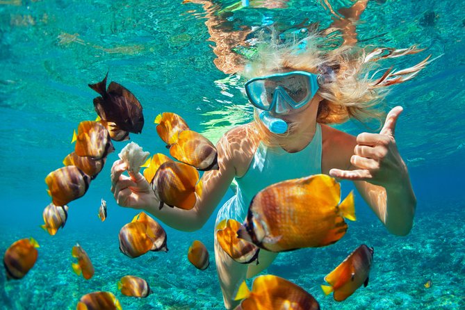 Catamaran Snorkeling All-Inclusive Day-Trip - A full day on the water from Puerto Plata