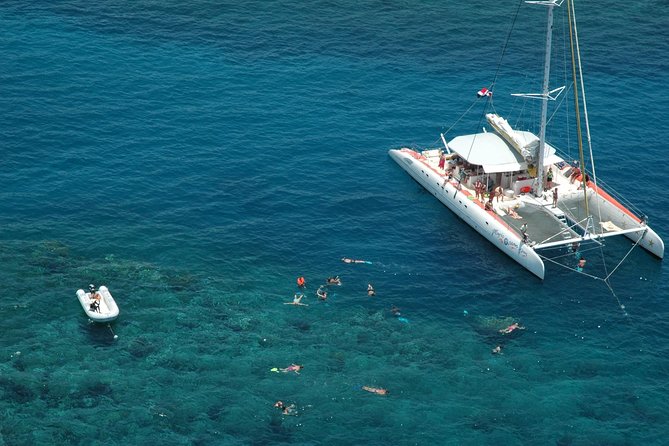 Catamaran Snorkeling All-Inclusive Day-Trip - First snorkeling stop: the better chance for fish