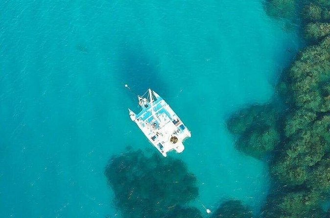 Catamaran, snorkeling & Dunn's River Falls - How the group size changes the feel