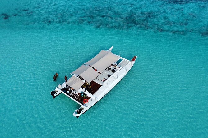 Catamaran Snorkeling to El Cielo and The Money Bar Beach Club - Key points to know before booking
