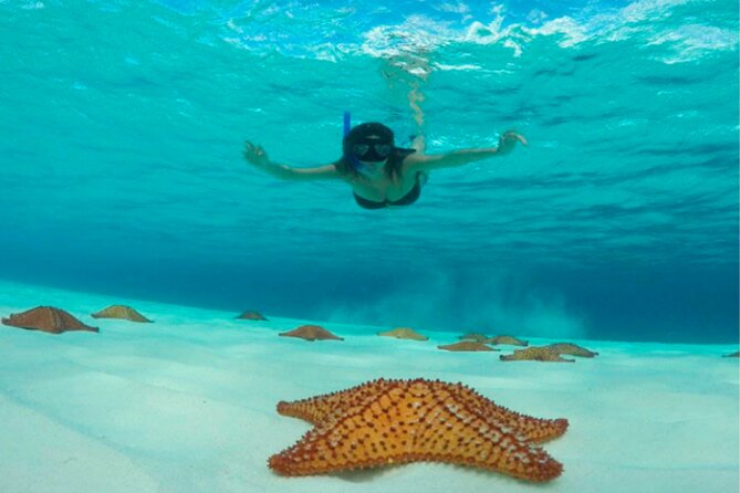 Catamaran Snorkeling to El Cielo and The Money Bar Beach Club - What the $84.99 price really covers