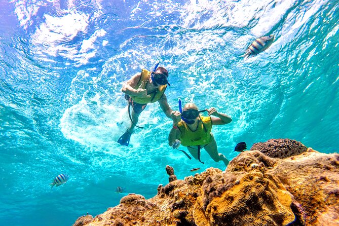 Catamaran Snorkeling to El Cielo and The Money Bar Beach Club - Timing advice for cruise passengers