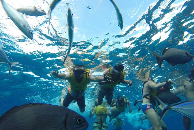 Catamaran Snorkeling to El Cielo and The Money Bar Beach Club - Who should choose this excursion