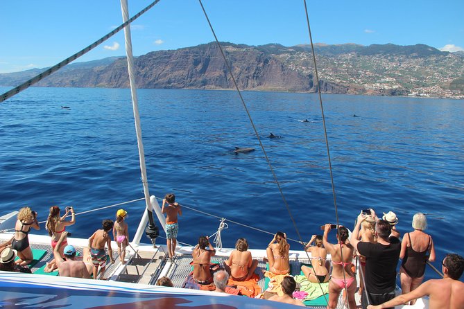Catamaran Sunset Cruise from Funchal - Is $48.27 a fair price?