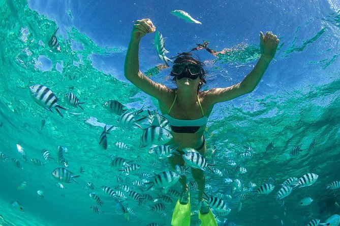Catamaran to Ile aux Cerf with Parasailing, Tube Riding & Lunch - Snorkeling in the Trou d’Eau Douce lagoon