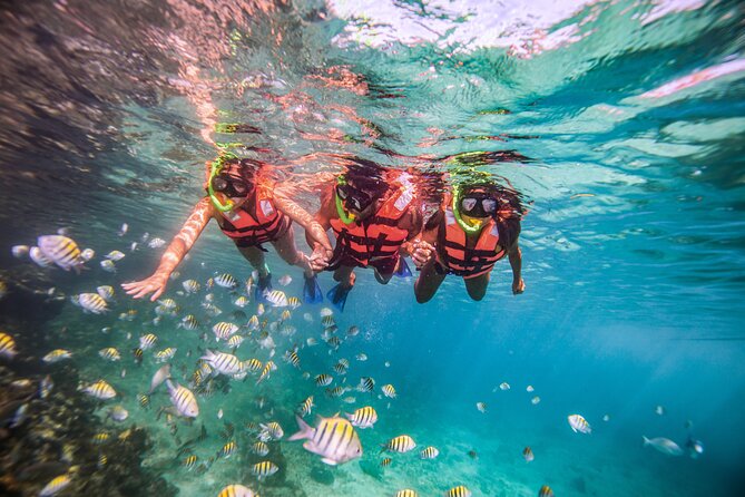 CATAMARAN to Isla Mujeres, Snorkel & Beach Club by Xcaret - Snorkeling at El Meco Reef