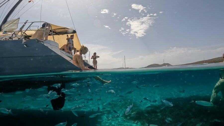 Catamaran tour Asinara island national park Buriana Charter - A shore walk among Asinara’s animals