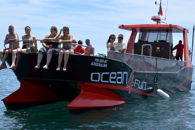 Catamaran Tour to Benagil Caves - Key points to know before booking
