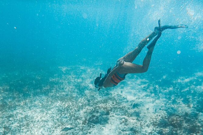 Catamaran Tour to Isla Mujeres Cancun - What the $29.90 price really means