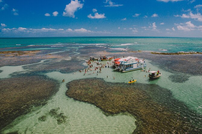 Catamaran Tour to the Seixas Natural Pools - Three hours among the fish at Seixas