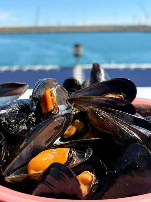 Catamaran trip and visit to the mussel nurseries with a snack - Key points to know before boarding