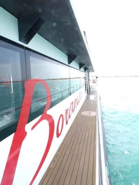 Catamaran trip and visit to the mussel nurseries with a snack - Malvarrosa Beach and the 30-minute coastal pause