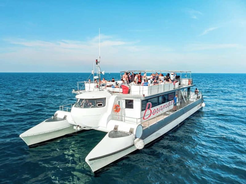 Catamaran trip and visit to the mussel nurseries with a snack - Should you book the Boramar clóchina cruise?