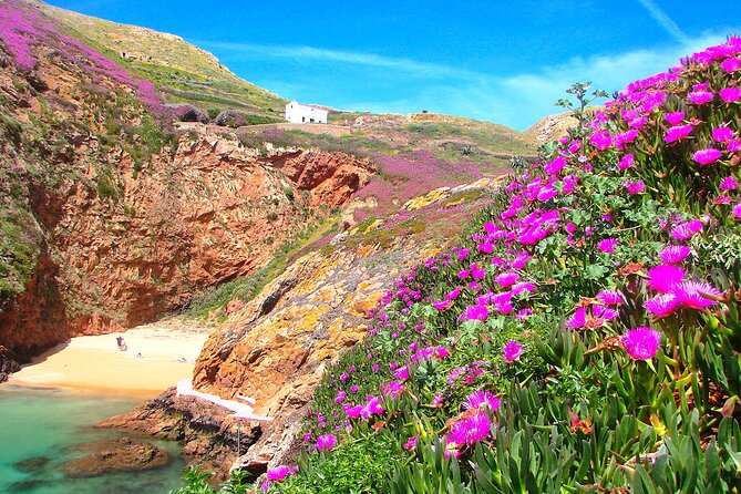 Catamaran trip to Berlengas Island + visit to the caves - Timing, conditions, and practical comfort