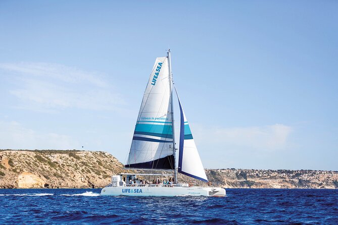 Catamaran with BBQ in the Bay of Palma - What the four-hour sailing day feels like