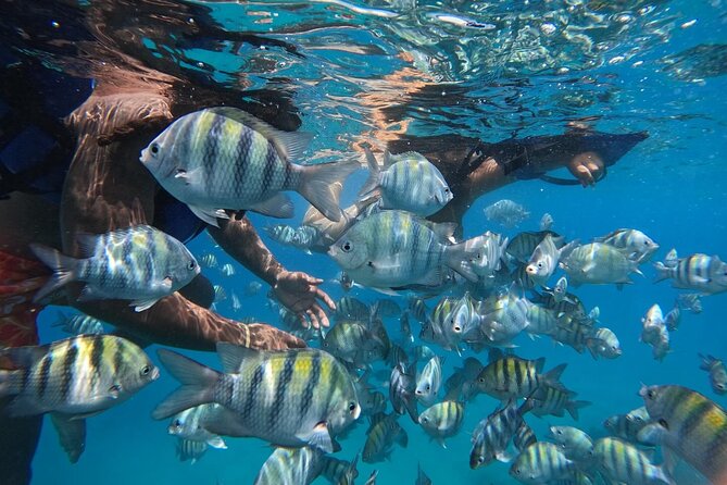 Catamaran with jacuzzi for groups Lunch and drinks Puerto plata - Two snorkeling stops near Sosúa