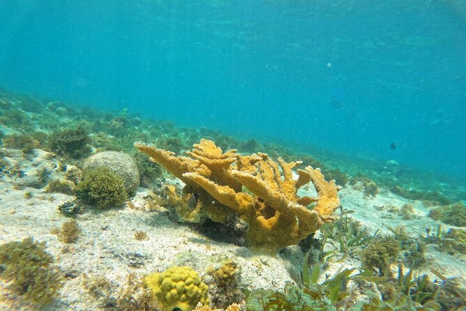 Catamaran with Snorkeling and North Beach, Isla Mujeres - Returning to Playa Tortugas