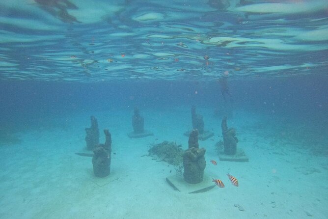 Catamaran with Snorkeling and North Beach, Isla Mujeres - Who will enjoy this outing most