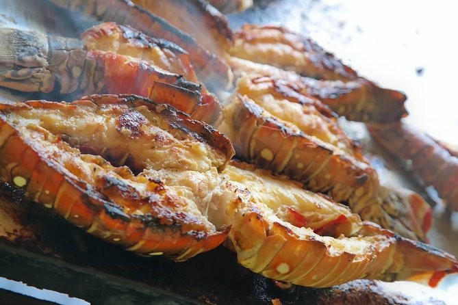 Cayo Arena Catamaran Cruise from Puerto Plata with Lunch - Beachside lunch with lobster or seafood paella