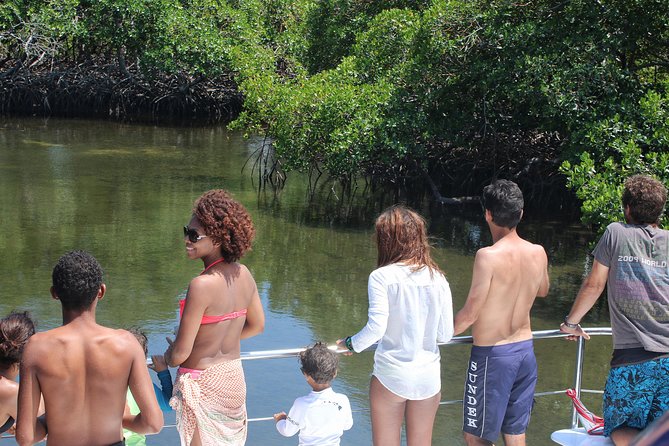 Cayo Arena Catamaran Cruise from Puerto Plata with Lunch - Drinks, service, and the group atmosphere