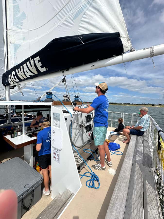 Charleston Harbor Mimosa Brunch Cruise with Brunch Bites - Dolphins and wildlife: a welcome bonus, not a promise