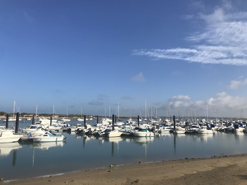 Chiclana de la Fra: Coast of Sancti Petri Catamaran Tour - Key points to know before you sail