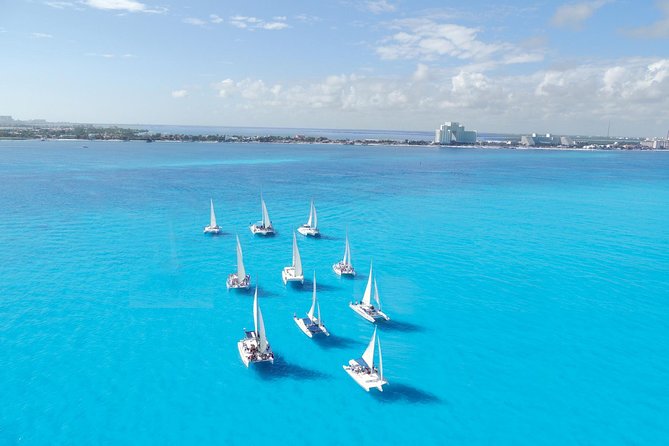 Combo Tulum- Coba & Cenotes + Isla Mujeres Catamaran - Swimming in a cenote