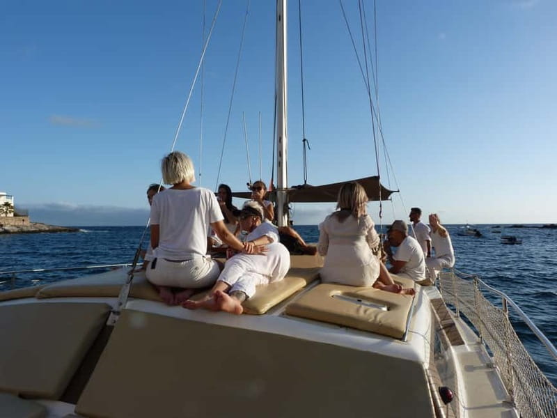 Costa Adeje: Catamaran Tour, Snorkelling, Snacks & Drinks - Looking for dolphins, turtles, and whales