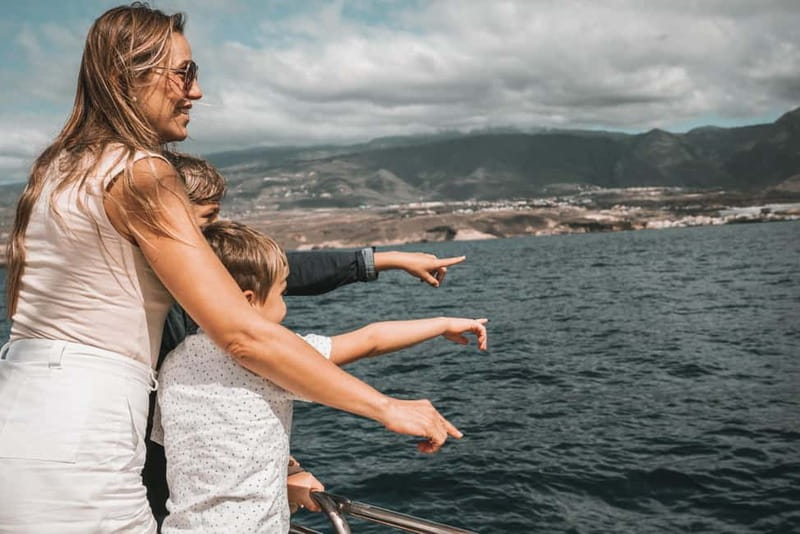 Costa Adeje: Catamaran Tour, Snorkelling, Snacks & Drinks - Is $53 good value for three hours?