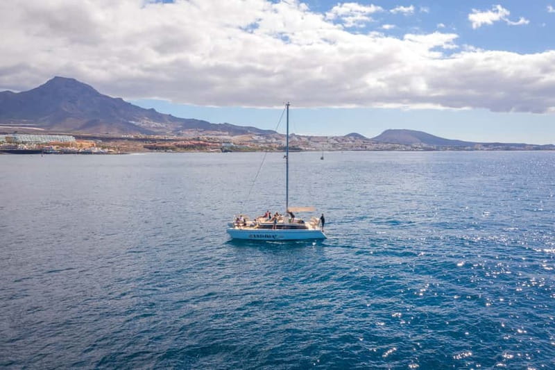 Costa Adeje: Private Catamaran Tour 22 Persons Max - Watching for Whales and Dolphins Offshore