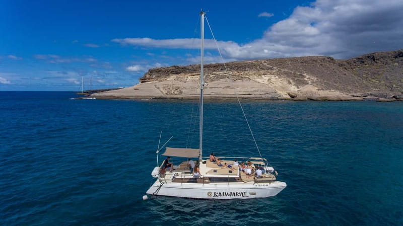 Costa Adeje: Private Catamaran Tour 22 Persons Max - Coastal Views on the Return to Costa Adeje