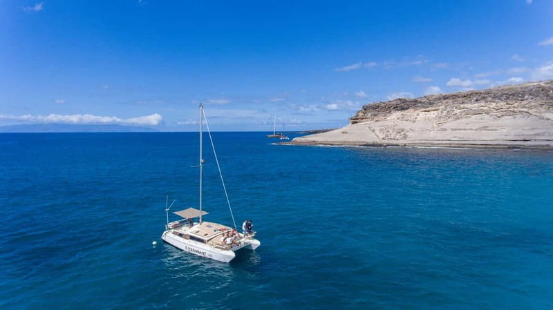 Costa Adeje: Private Catamaran Tour 22 Persons Max - Should You Book This Private Catamaran?