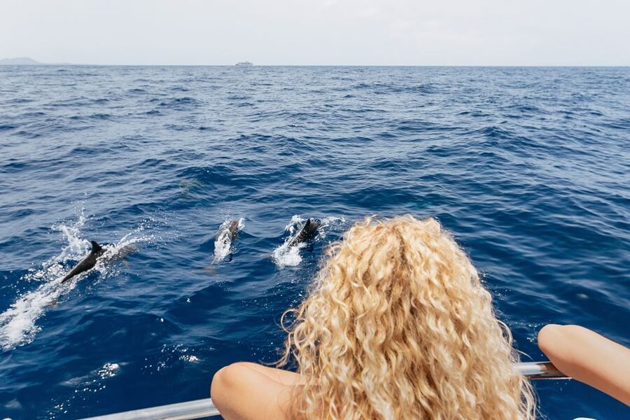 Costa Adeje: Whale Watching Catamaran Tour with Drinks - Dolphins near the fish farms