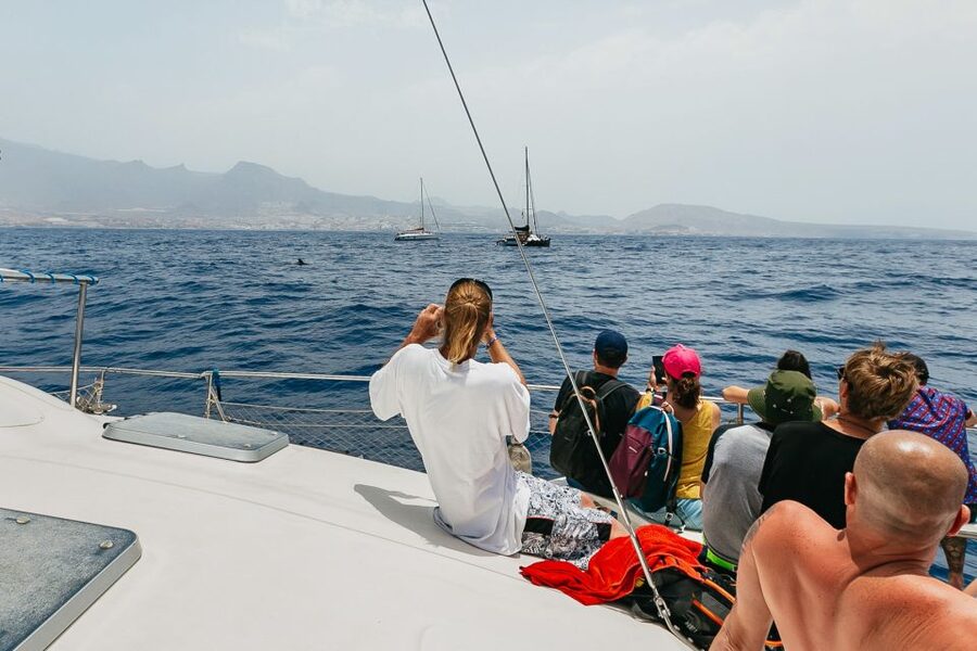 Costa Adeje: Whale Watching Catamaran Tour with Drinks - The surprising story of Tenerife’s giant squid