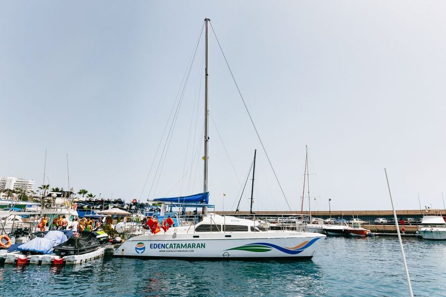 Costa Adeje: Whale Watching Catamaran Tour with Drinks - Choosing two hours or three hours