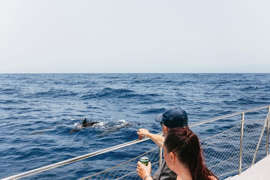 Costa Adeje: Whale Watching Catamaran Tour with Drinks - Leaving Puerto Colon on the Eden catamaran