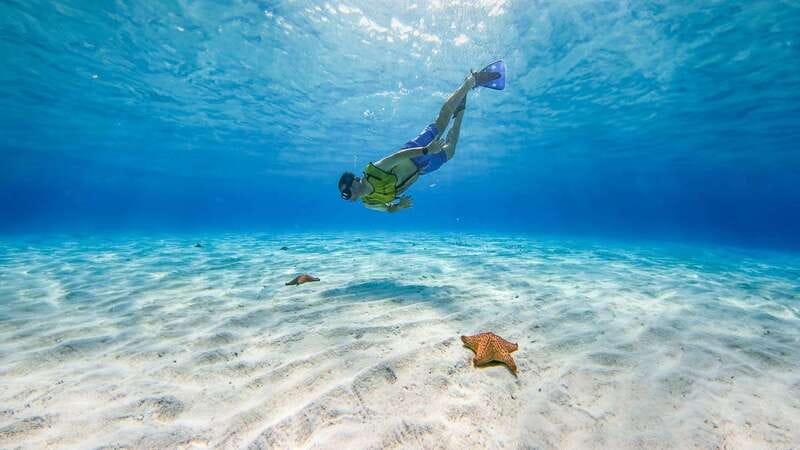 Cozumel: Catamaran, El Cielo Bay & Palancar Reef with Lunch - Key points to know before booking