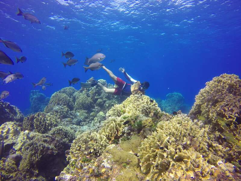 Cozumel: Catamaran, El Cielo Bay & Palancar Reef with Lunch - Who will enjoy this Cozumel catamaran trip?