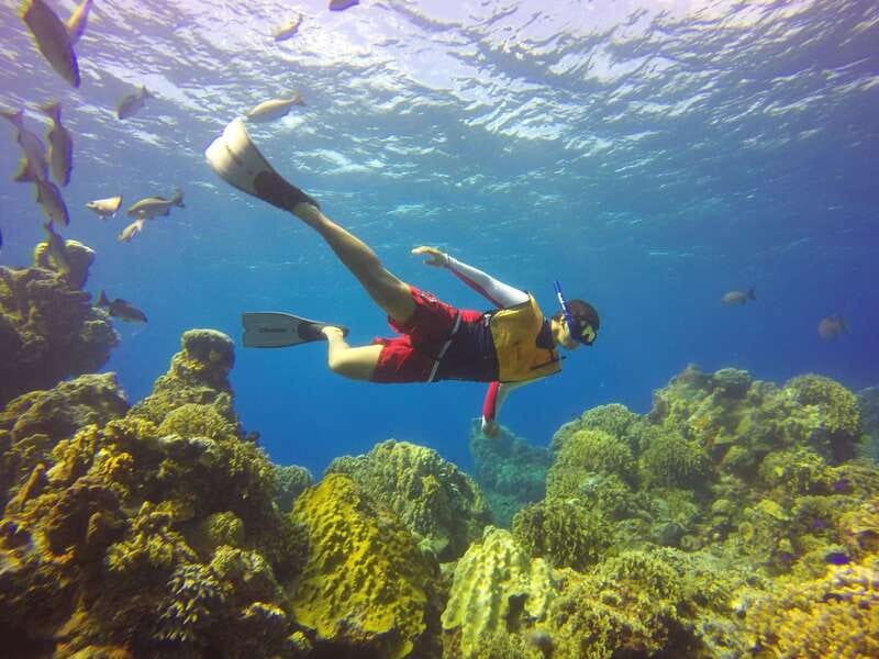 Cozumel: Catamaran, El Cielo Bay & Palancar Reef with Lunch - Palancar Reef and the Mesoamerican Barrier Reef