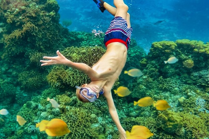 Cozumel Catamaran Experience with Snorkeling & Beach Club - Palancar Reef gives the afternoon its purpose