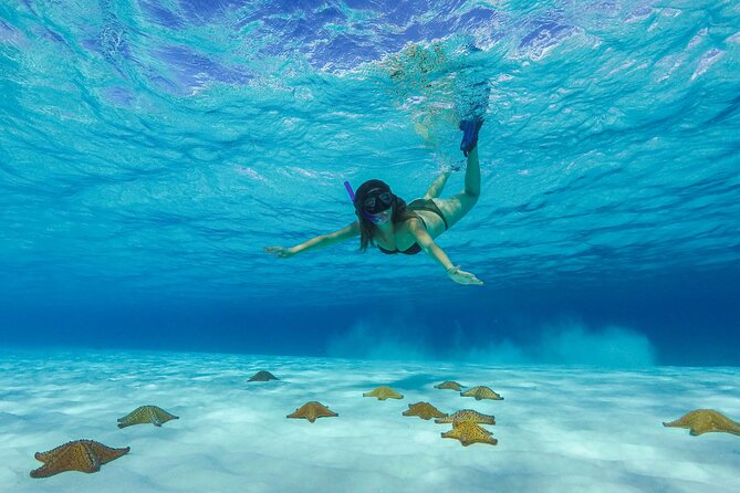 Cozumel Catamaran Snorkel Tour: El Cielo & Palancar with lunch - Key points at a glance
