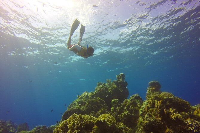 Cozumel Catamaran Snorkel Tour: El Cielo & Palancar with lunch - Lunch, local flavor, and the final return