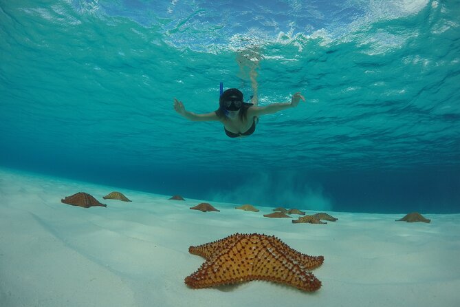 Cozumel Catamaran Snorkel Tour: El Cielo & Palancar with lunch - Practical tips before you book