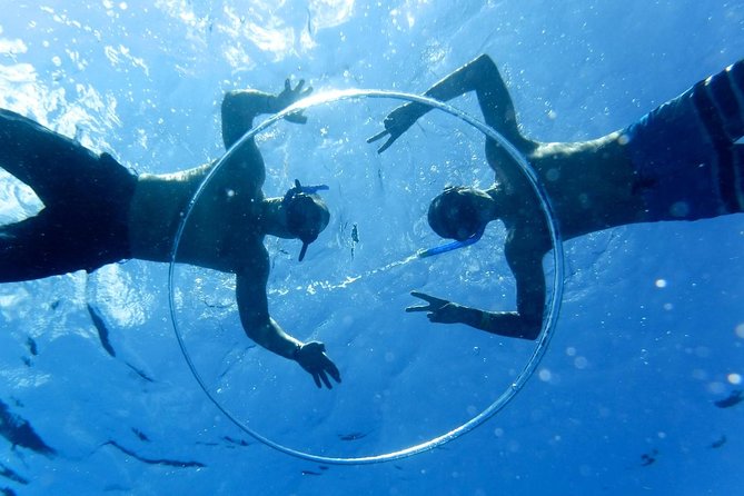 Cozumel Catamaran Snorkeling Tour & lunch - Palancar Reef, the main underwater stop