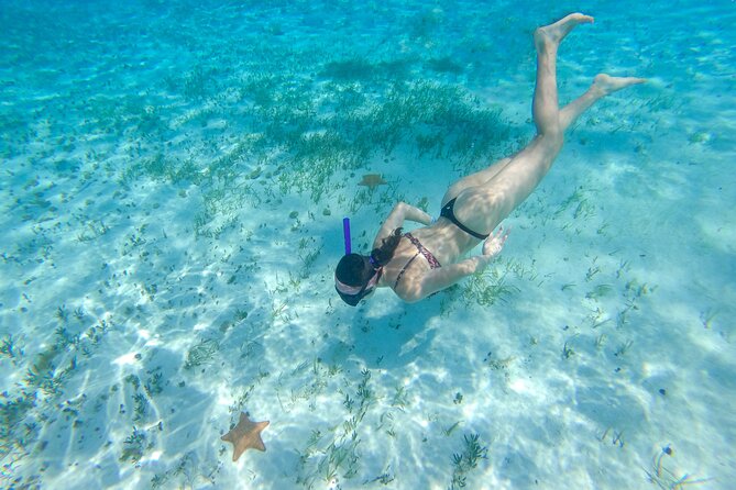Cozumel Catamaran Snorkeling Tour & lunch - Lunch and beach time at Playa Mia