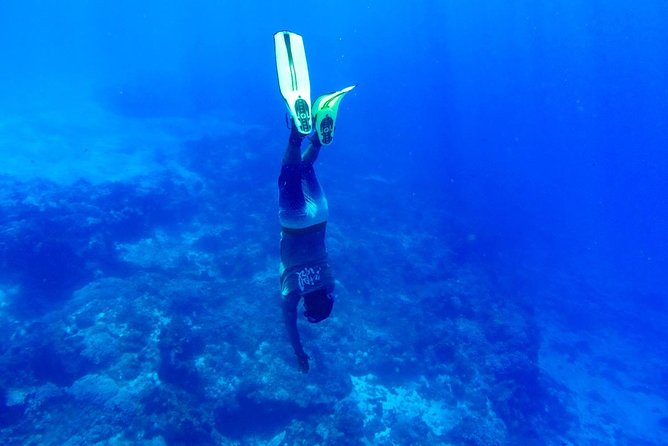 Cozumel Catamaran Snorkeling Tour & Lunch (Hotel Pick Up) - Playa Mia adds slides, floats, and a change of pace
