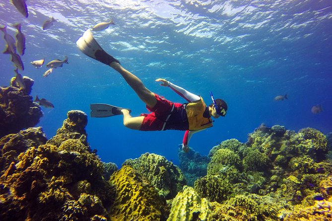 Cozumel Catamaran Snorkeling Tour & Lunch (Hotel Pick Up) - Lunch and drinks help explain the $163 price