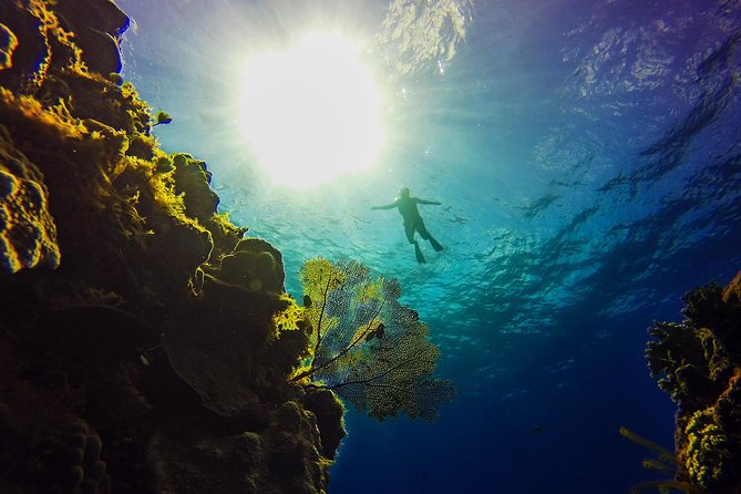 Cozumel Catamaran Snorkeling Tour & Lunch (Hotel Pick Up) - Practical preparation for a smoother day